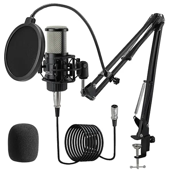 ALABS XLR Condenser Microphone, Professional Cardioid Recording Microphone Kit with 25mm Diaphragm for Streaming, Podcasting, Singing, Vocal, Studio Mic with Boom Arm, Pop Filter (AC22)