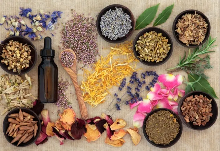 Chiropractor/Naturopath/Acupuncture 