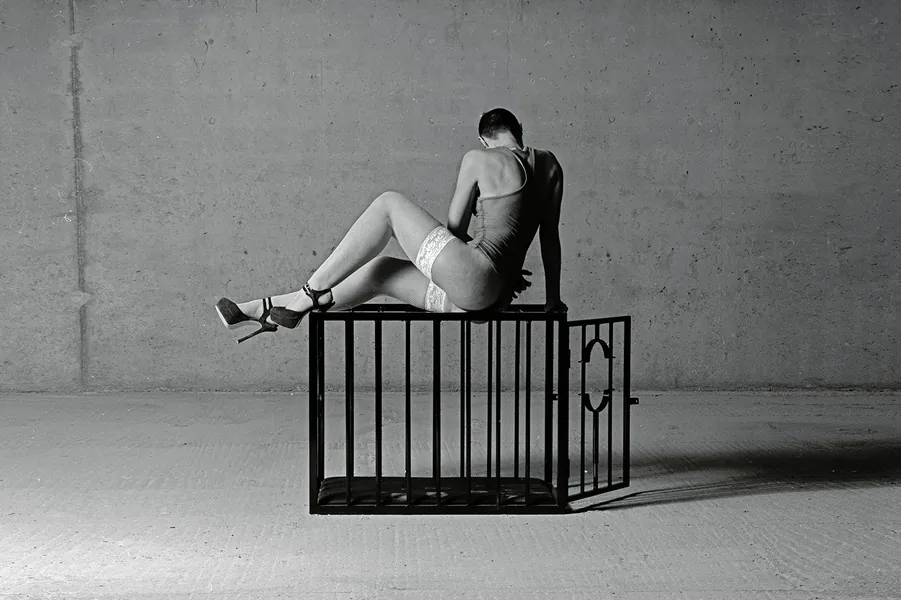 BDSM SEX CAGE - BDSMarchitecture