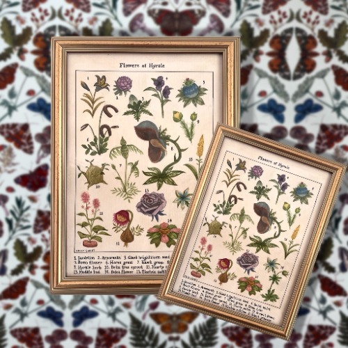 Flowers of Hyrule vintage flora print | A4