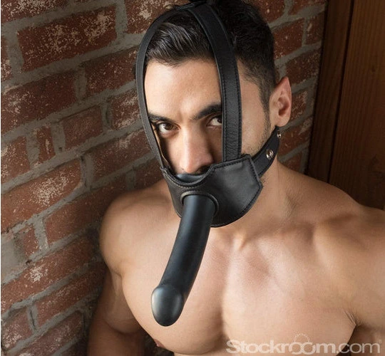 Un joli harnais de tête