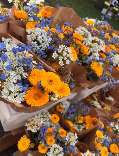 Farmers Market Bouquet 💐 