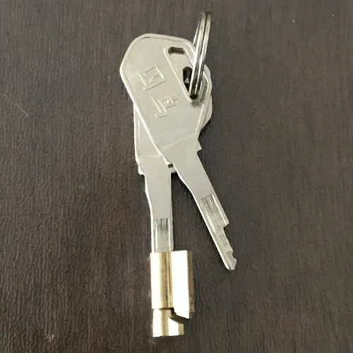Lose My Keys