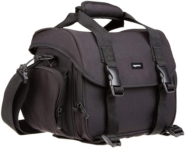 Amazon Basics Large DSLR Gadget Bag, Black with Grey Interior - Large - Grey Interior
