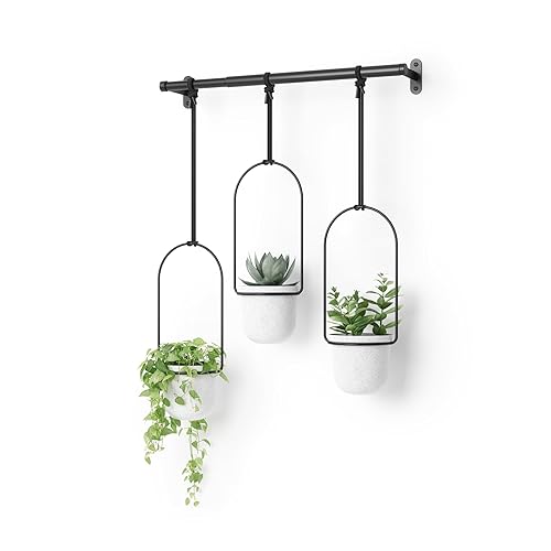 Umbra Triflora Hanging Planter for Window, Indoor Herb Garden, Set of 3, White/Black - 3 Planters - White/Black