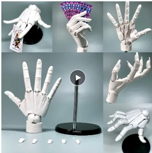 Right Hand model for reference