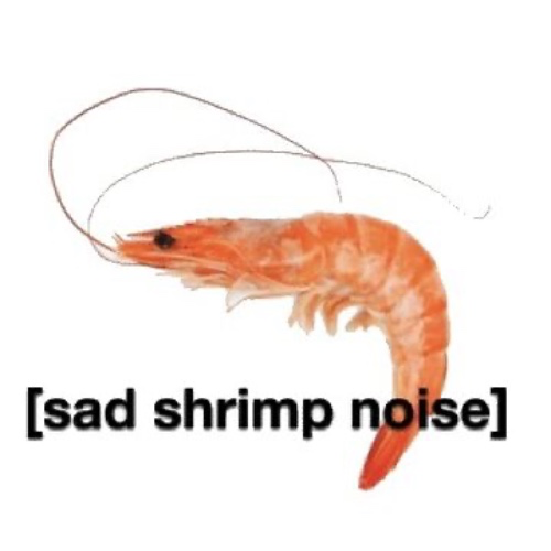 shrimpy