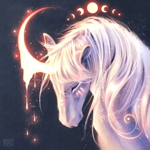 Star stable fund ✨️