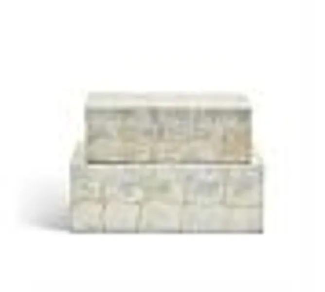 Capiz Mother Of Pearl Decorative Boxes - Set of 2 | Pottery Barn