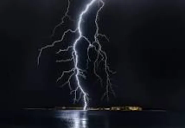 Adopt a bill / Electric