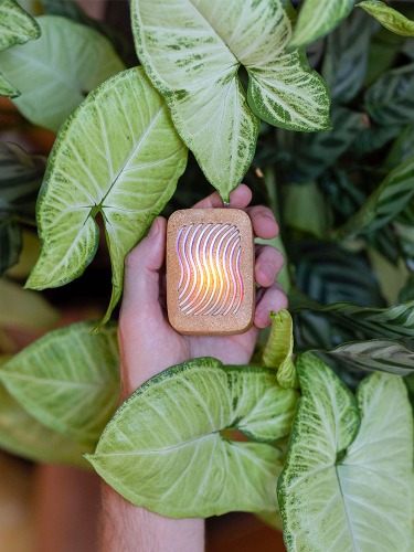 PlantWave | Default Title