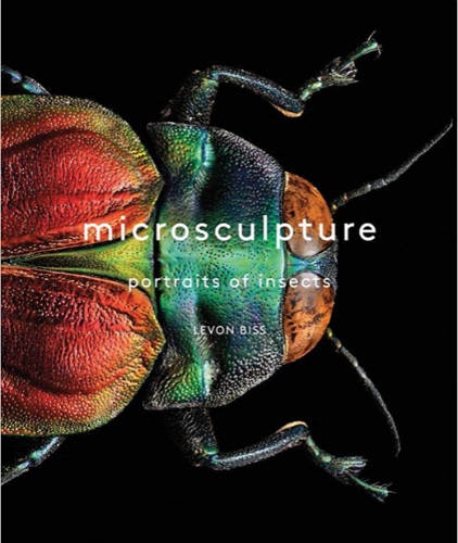 Microsculpture: Portraits of Insects - Hardcover
