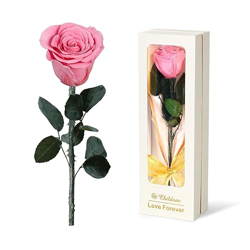 Birthday Gifts for Women,Valentines Rose Gifts for Women,Preserved Pink Rose Flower Gifts for Her,Romantic Gifts for Valentines,Forever Fresh Flower Rose Gifts for Her Mom Wife Grandma - Preserved Pink Rose