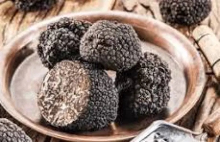 Truffles from my 🐷's