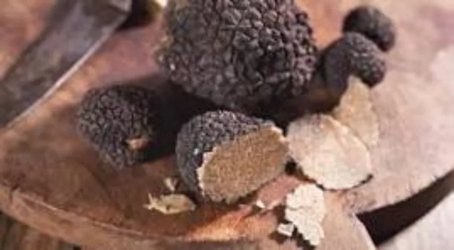 Truffles from my 🐷's