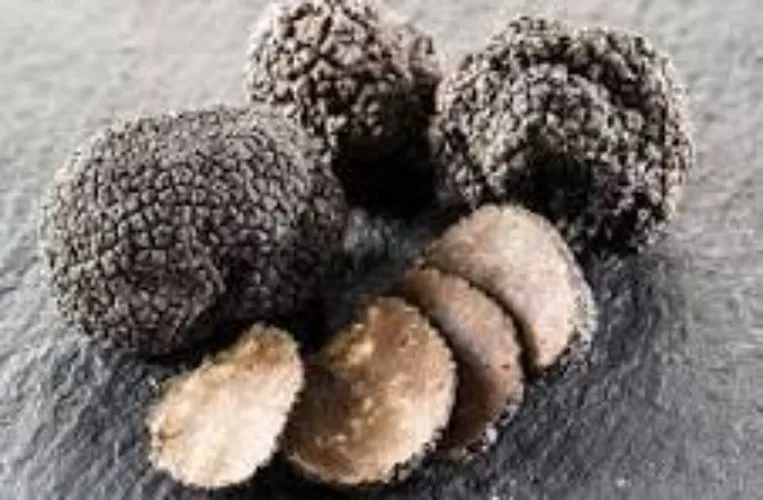 Truffles from my 🐷's