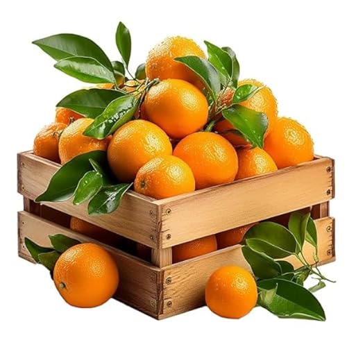 3kg Mandarinen, Clementinen