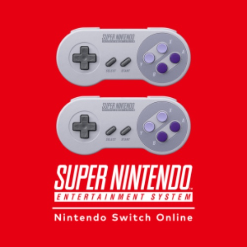 Nintendo Online Annual Subscription