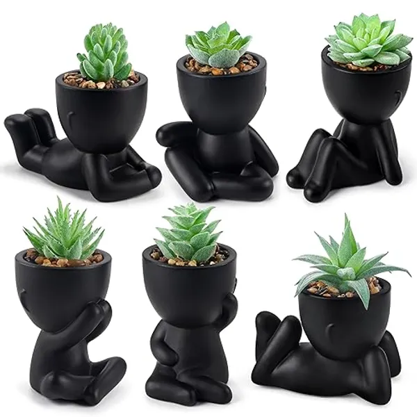 Der Rose Set of 6 Fake Plants Succulents Plants Artificial in Black Pots for Bathroom Home Office Table Decor Indoor