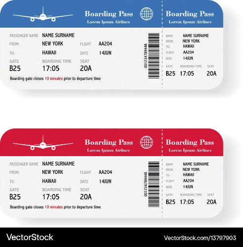 Tony Hawk's Plane Ticket