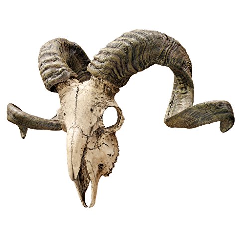 Design Toscano Crâne et Cornes de Bélier Corse Sculpture Murale Faux Taxidermie Animal, 45.75 cm, polyrésine, palette complète de couleur