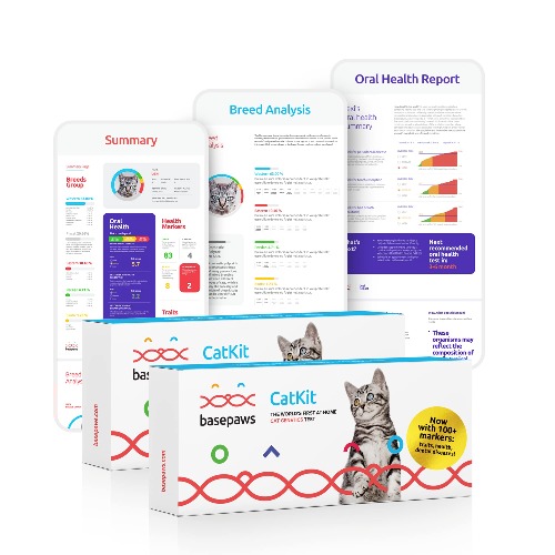 Basepaws Cat DNA Test | Breed + Health + Dental Report | Top Cat Breeds & 114 Health & Trait Markers | As Seen On Shark Tank, 2 Pack - Breed + Health (2 Pack) Basic