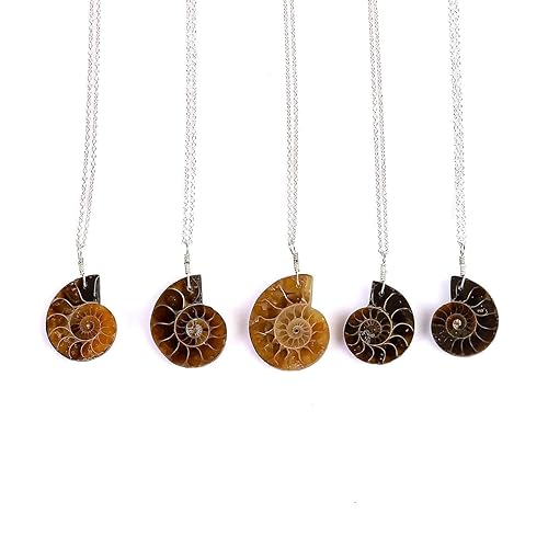 ammonite necklace