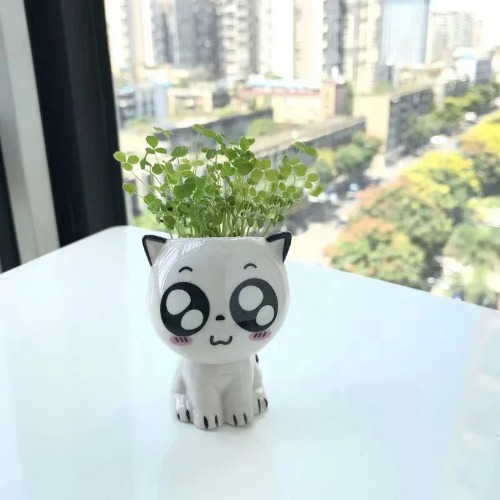 White Ceramic Cute Cat Cartoon Plant Pot (Various Expressions) - Big Eyes Smile