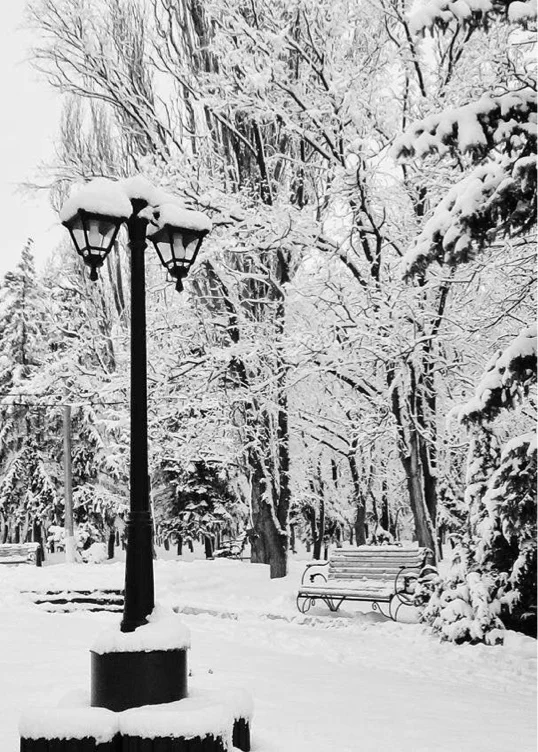 NHL games🇨🇦🍁 