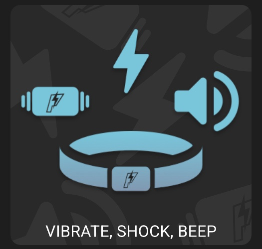 Pishock Dual Shock and Hub Kit