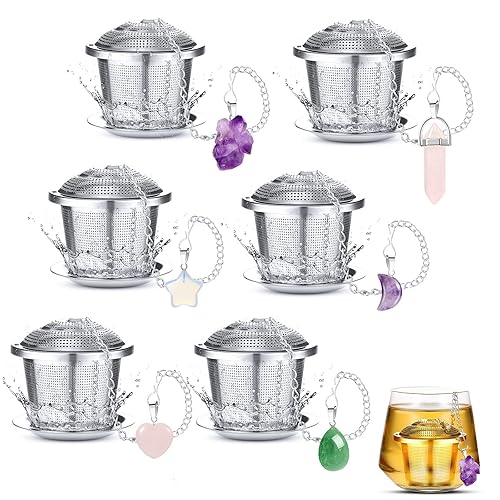 Vesici 6 Sets Loose Leaf Tea Infusers Stainless Steel Steeper Ball for Loose Tea Holder Mesh Strainer Filters with Drip Trays and Pendant