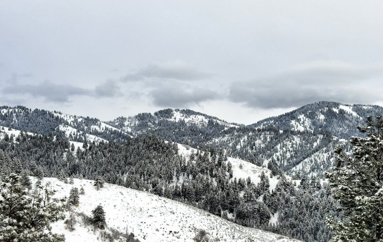 1000Snowboarding day pass