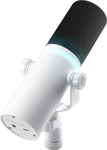 BEACN Light Dynamic USB Mic for PC | Professional Microphone for Podcast, Gaming Mic, Streaming Mic | Studio-Quality Desk Mic for YouTube, Twitch, and Recording | Microphone for PC, Gaming & Streaming - Light