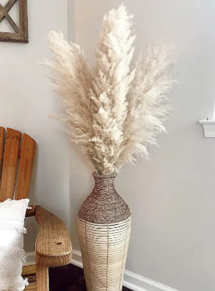 5 Large 4ft Tall Fluffy Natural Dried Pampas Grass Trending | Etsy