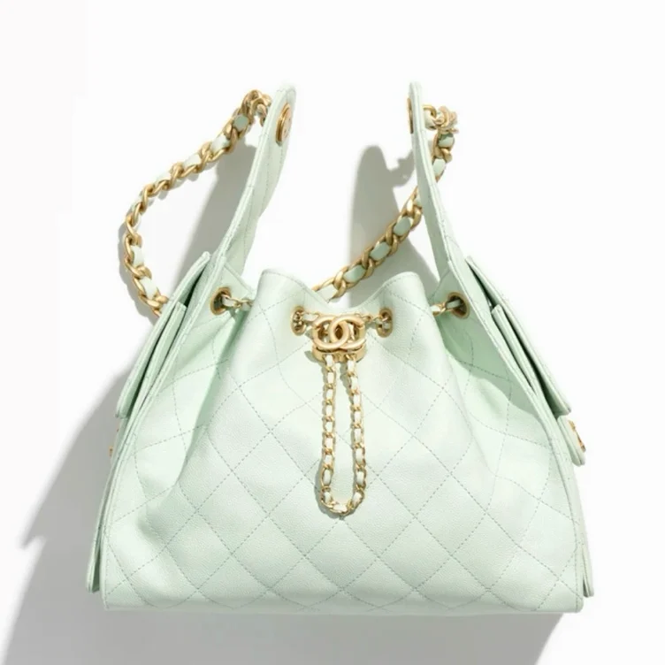 CHANEL 25 Small Handbag