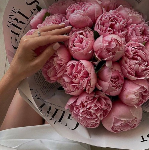 Flowers 3️⃣3️⃣