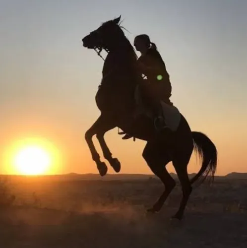 Horse riding on beach at sunset $40