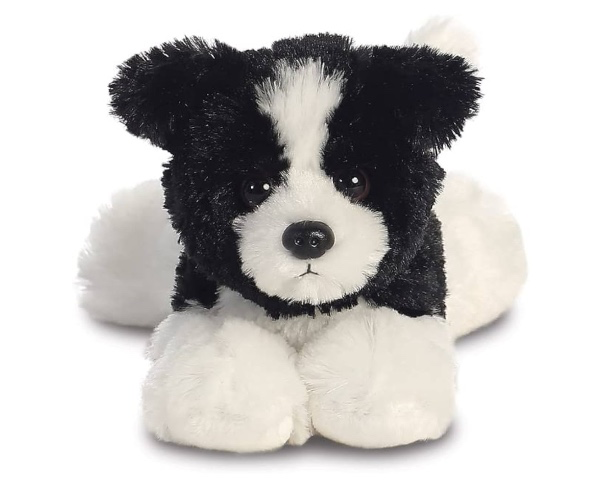 border collie teddy
