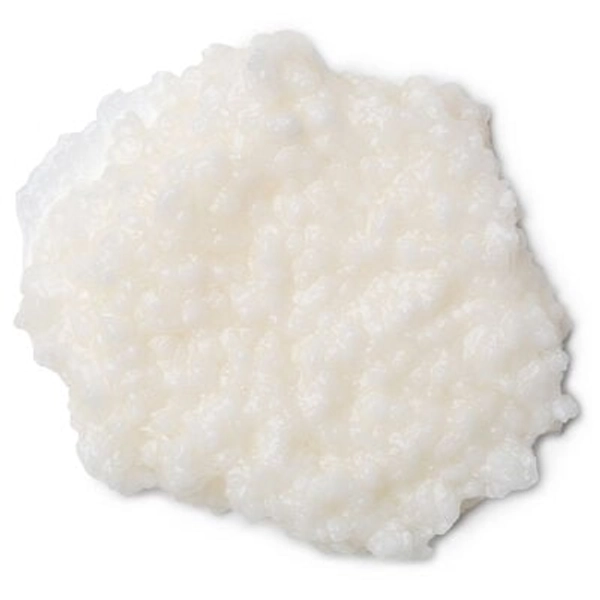 Big | Shampoo | Lush Cosmetics