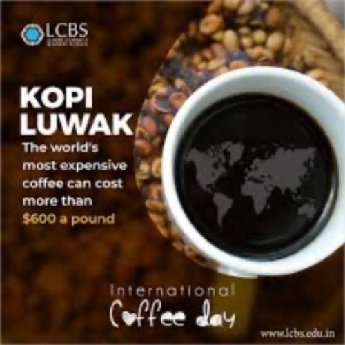 World's Most Expensive Coffee
