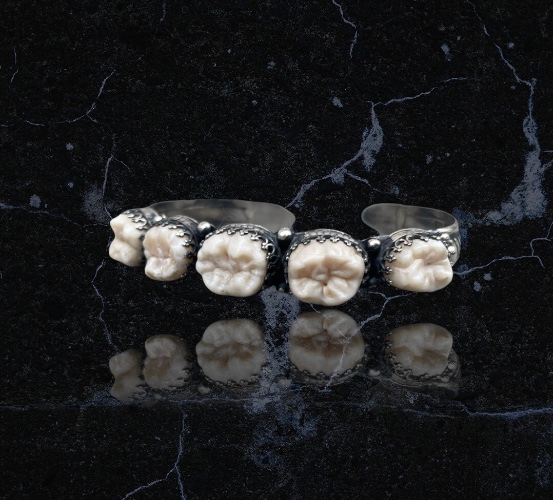 Five Real Human Tooth Bracelet | 7 inches / Sterling Silver / Detailed bezel