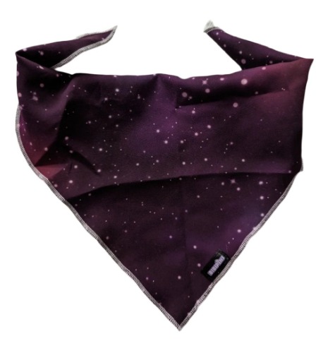 Galaxy Pet Bandana - L