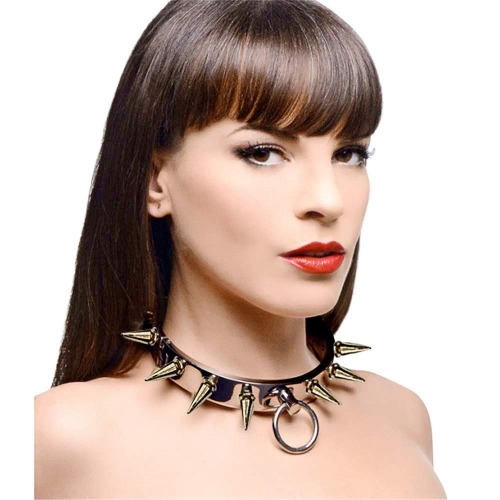 UUIUU Edelstahl-Slave Collar Halskorsett Bondage Harness Fesseln Fetisch Metall Adult Halsbänder, sm Spielzeug Sex extrem für sie (Size : Female)