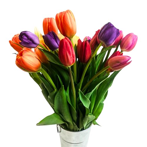 Stargazer Barn Happy Bouquet Tulips Fresh Flowers Bouquet with Vase - Overnight Prime Delivery, Fresh Cut Flowers for Longer Life - Bouquet of Flowers for Birthday, Anniversary, Mothers 30 stems - 30 Stems - The Happy Bouquet