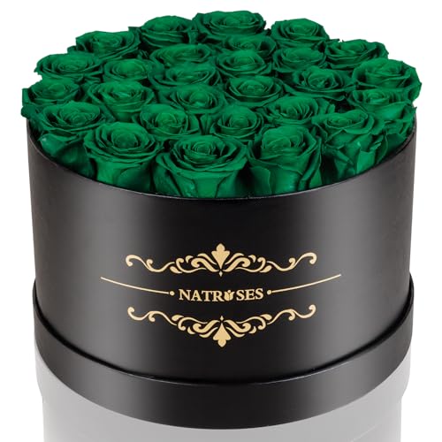 NATROSES Forever Preserved Roses in a Box, 100% Real Roses That Last Up to 3 Years, Preserved Flowers for Delivery Prime Birthday, Valentines Day Gifts for Her (Forest Green) - Forest Green