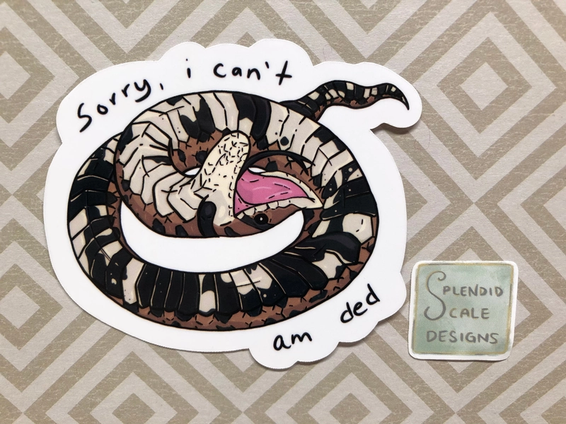 Hognose Snake Reptile Vinyl Sticker