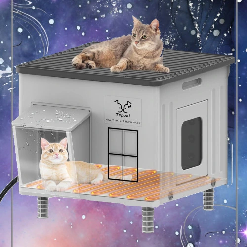 Cat House For The Stray