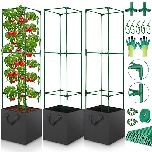 Tomatoes Are Criminals And Need To Be Caged