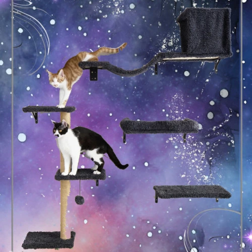 Cat Wall Shelves, Stable & Safe 4 in 1 Cat Furniture Set, Wooden Climbing Wall with Scratching Post