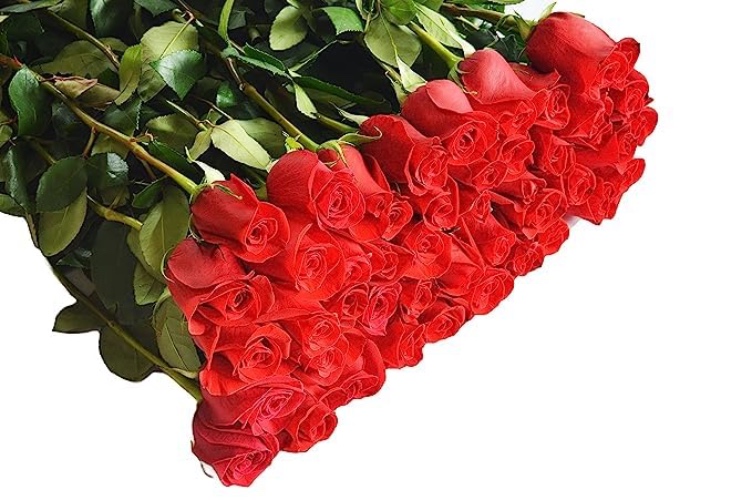 KaBloom PRIME NEXT DAY DELIVERY : Valentine's Day Collection - Fresh Cut 96 Red Roses Gift for Birthday, Sympathy, Anniversary, Get Well, Thank You, Valentine, Mother’s Day Flowers - Red - 96